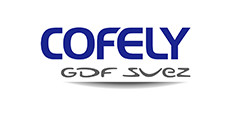 Cofely — GDF Suez logo